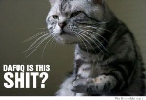 dafuq-is-this-shit